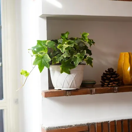 Attico Via Capo Soprano Apartment *
